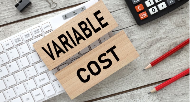 Variable costs definition functions and benefits