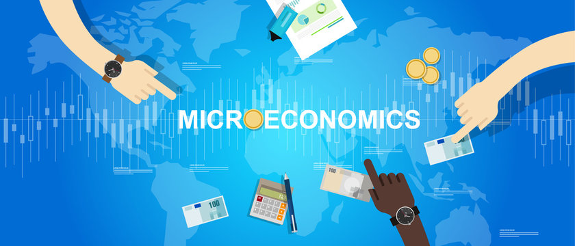What does Microeconomics mean